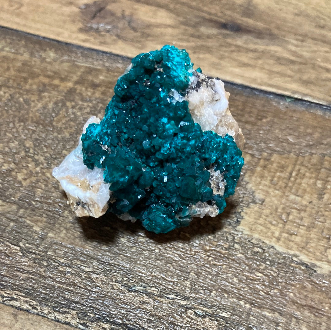 Gorgeous High Grade Dioptase 13