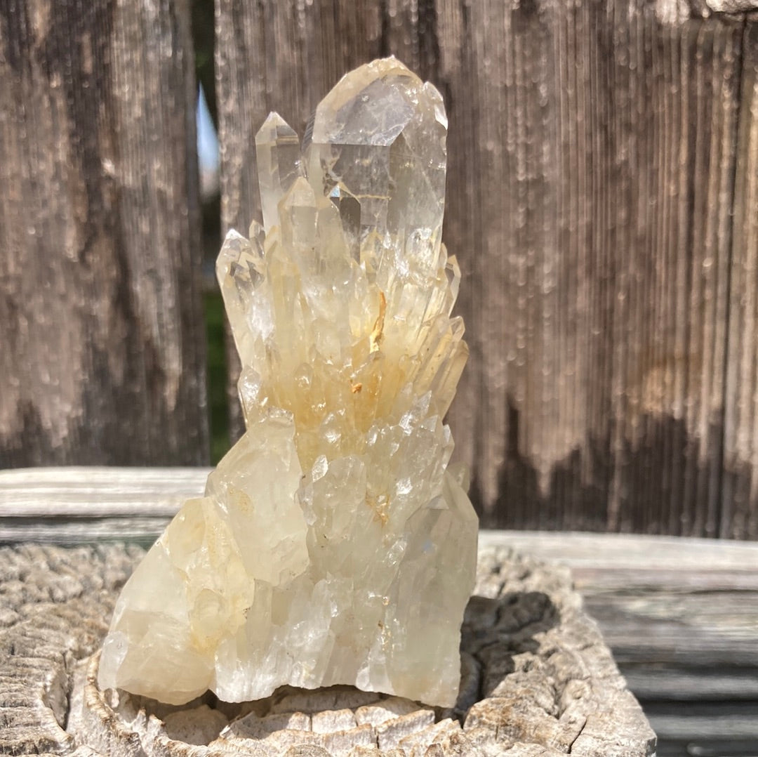 Real All Natural Gorgeous Citrine 31