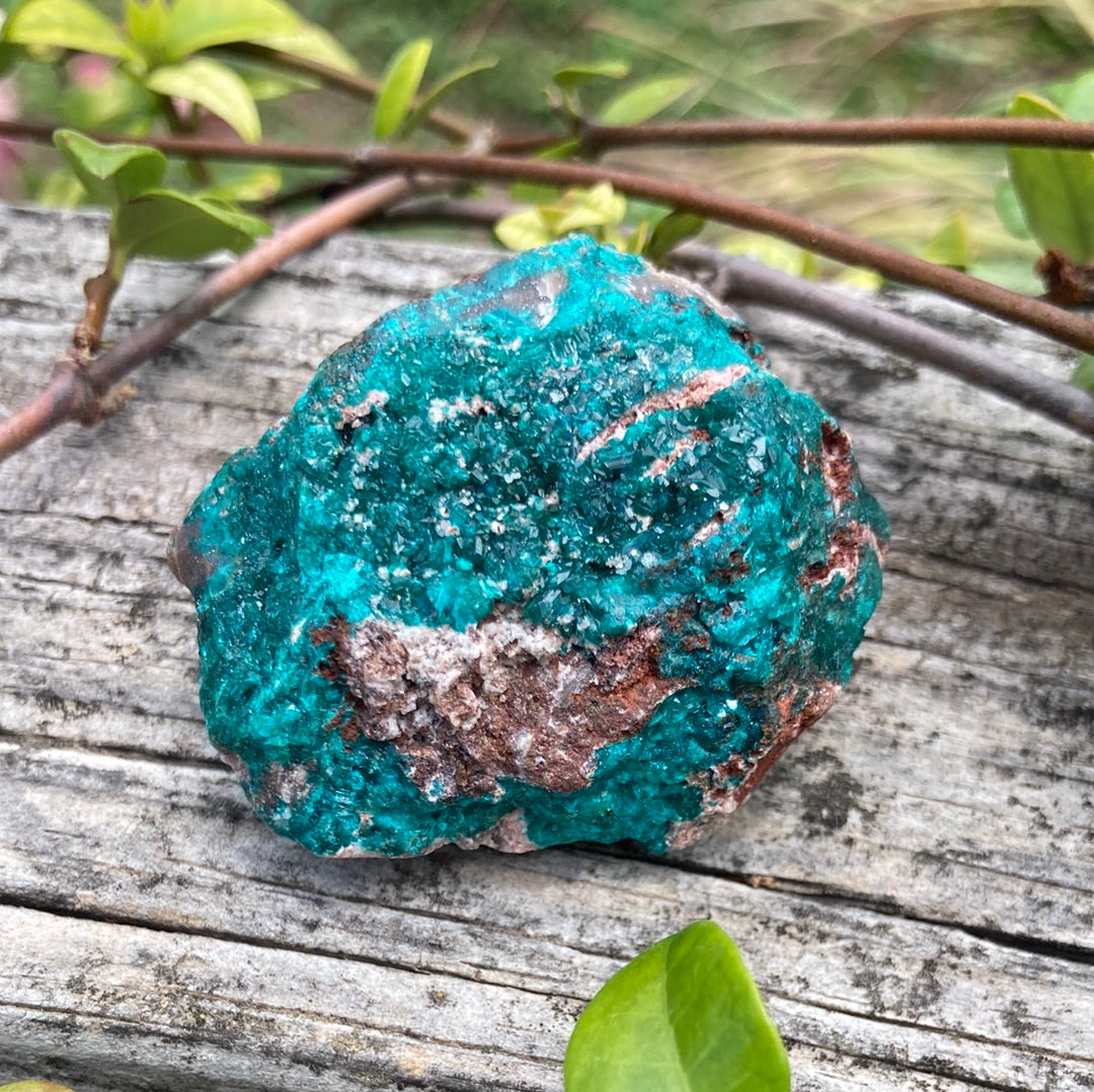 Gorgeous High Grade Dioptase 10