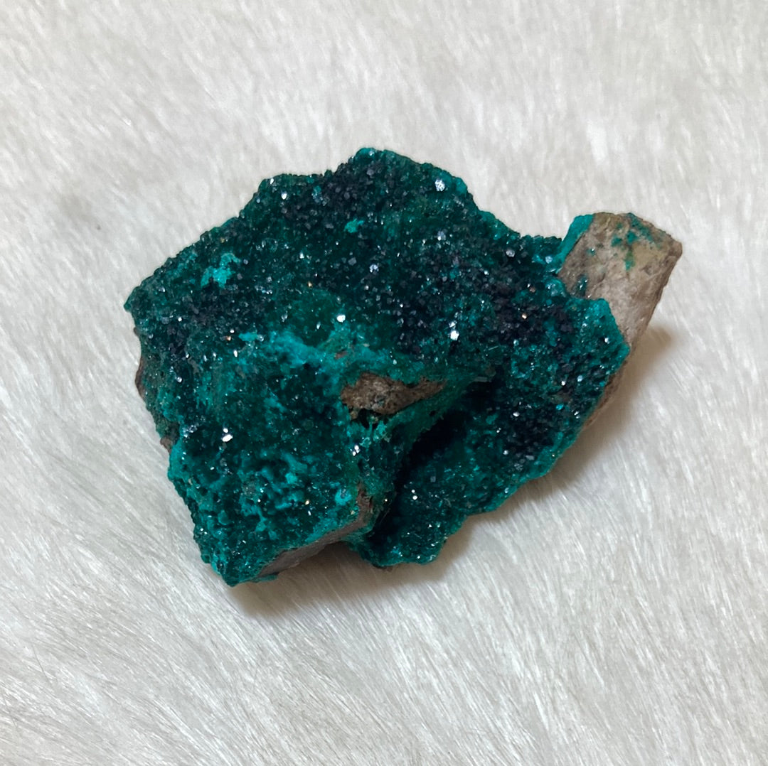 Gorgeous High Grade Dioptase 8