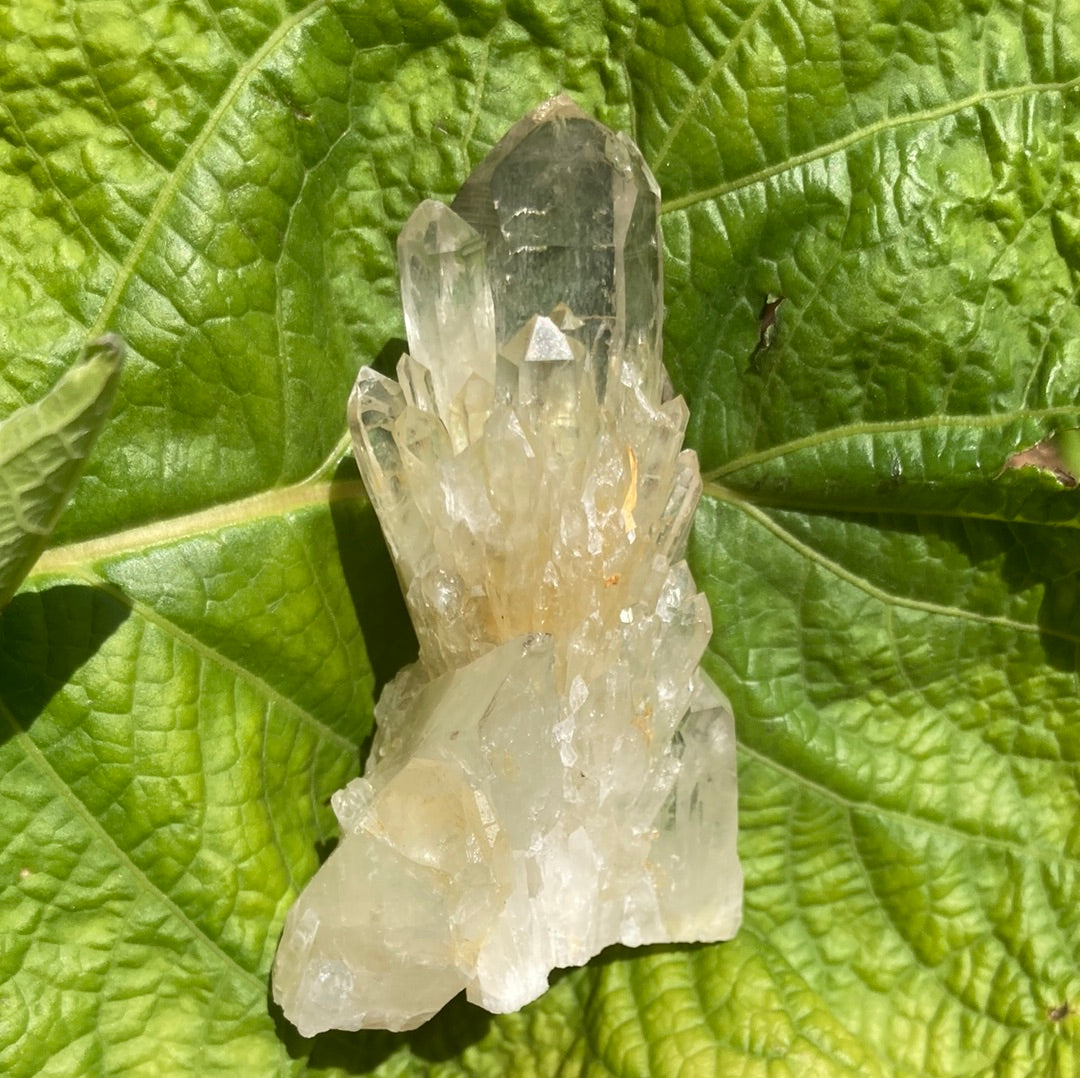 Real All Natural Gorgeous Citrine 31