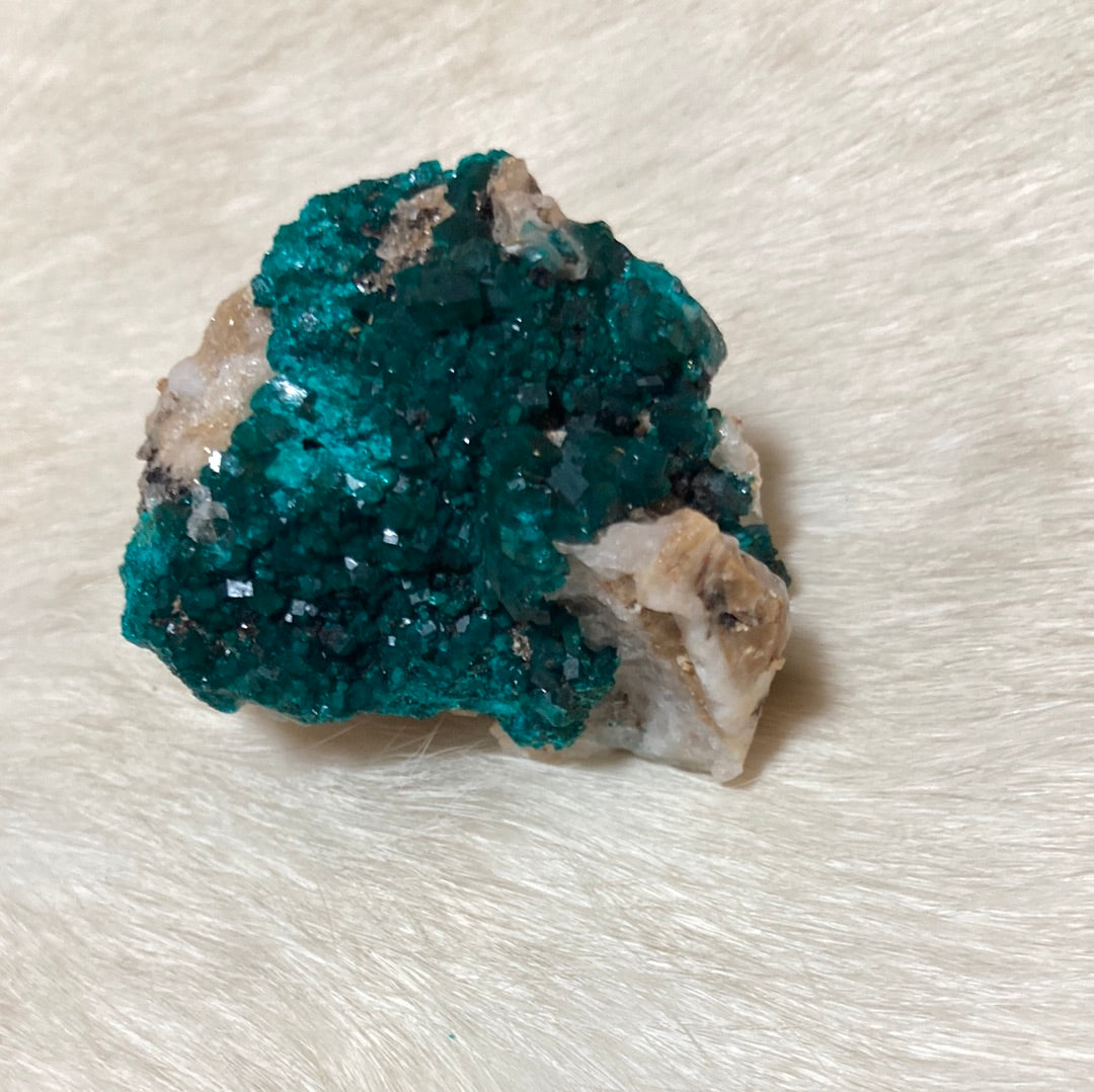 Gorgeous High Grade Dioptase 13