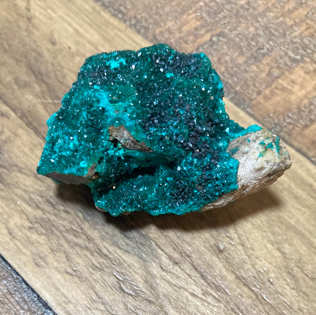 Gorgeous High Grade Dioptase 8