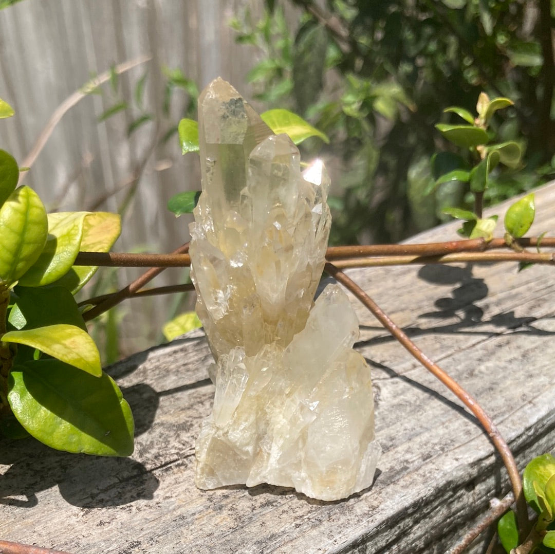 Real All Natural Gorgeous Citrine 31