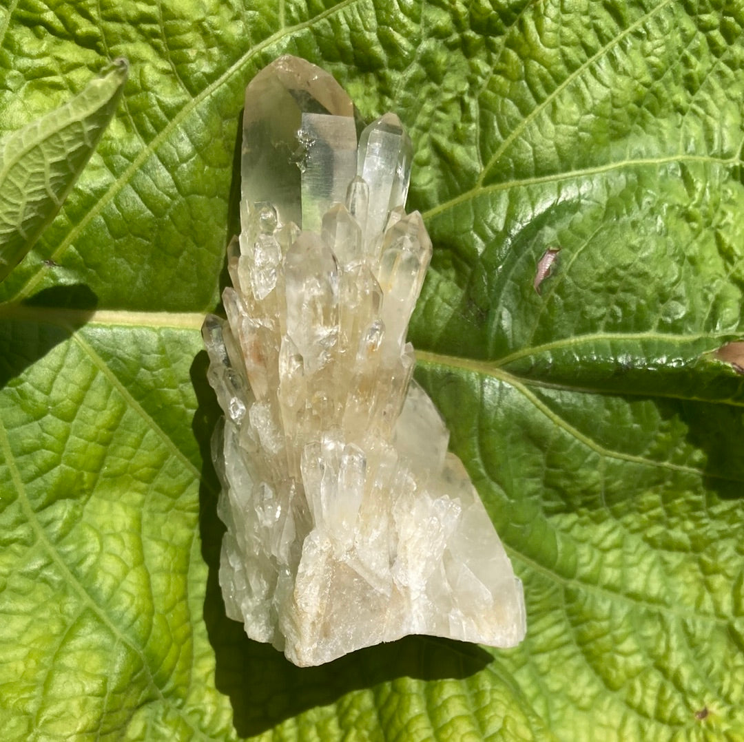 Real All Natural Gorgeous Citrine 31