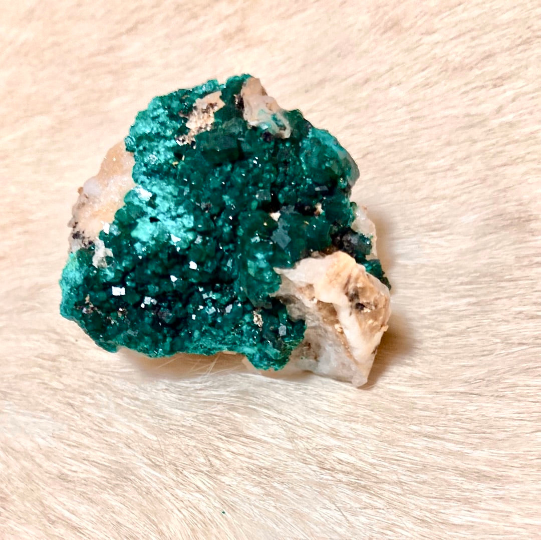 Gorgeous High Grade Dioptase 13