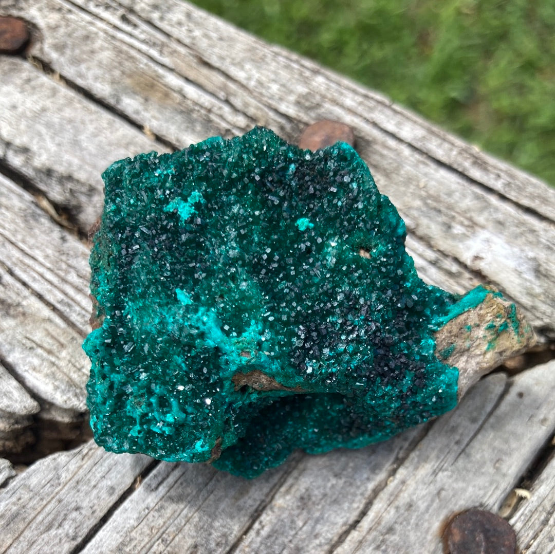 Gorgeous High Grade Dioptase 8