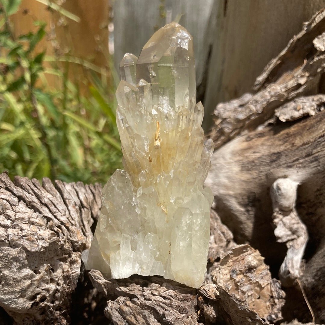 Real All Natural Gorgeous Citrine 31