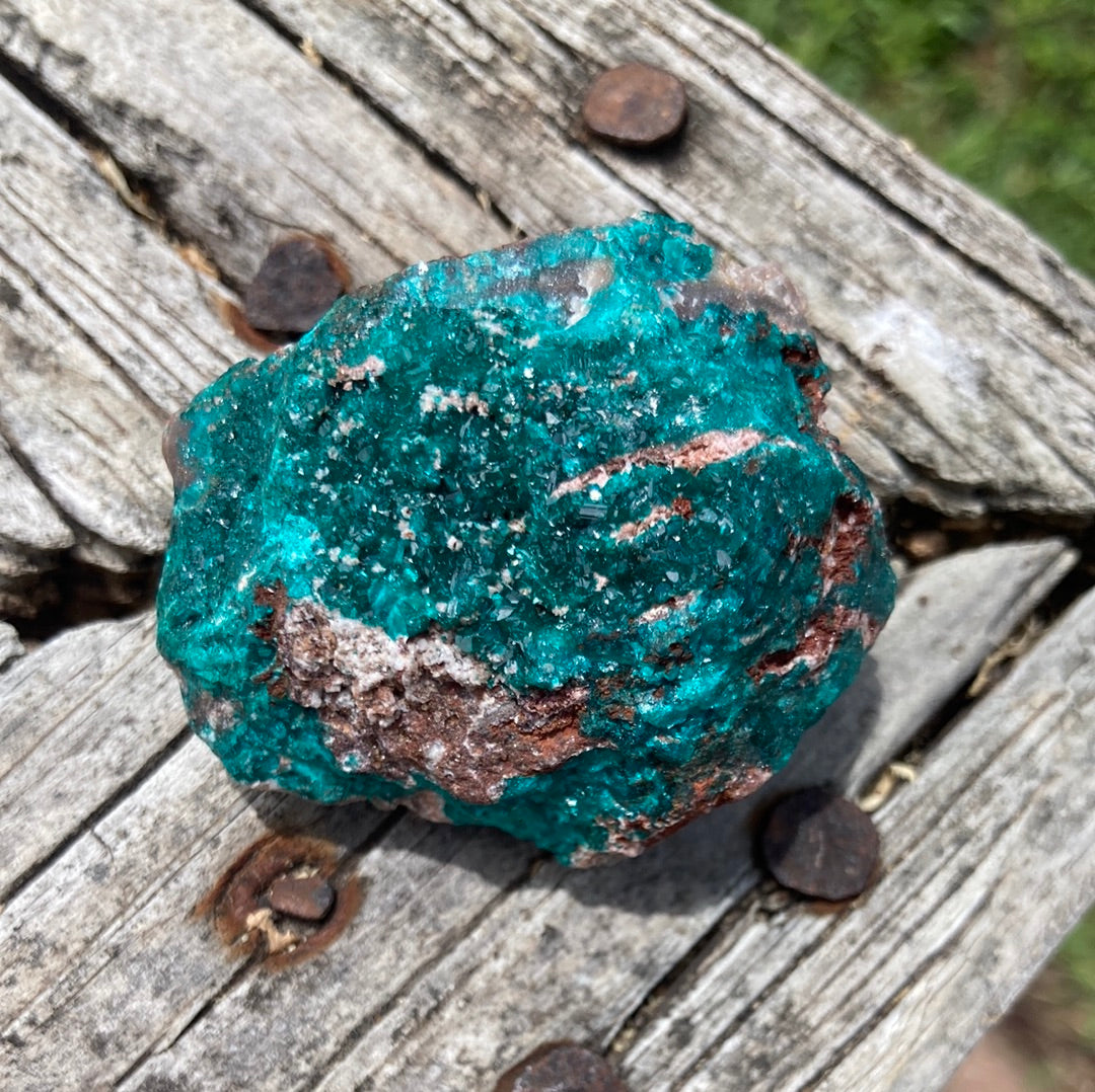 Gorgeous High Grade Dioptase 10