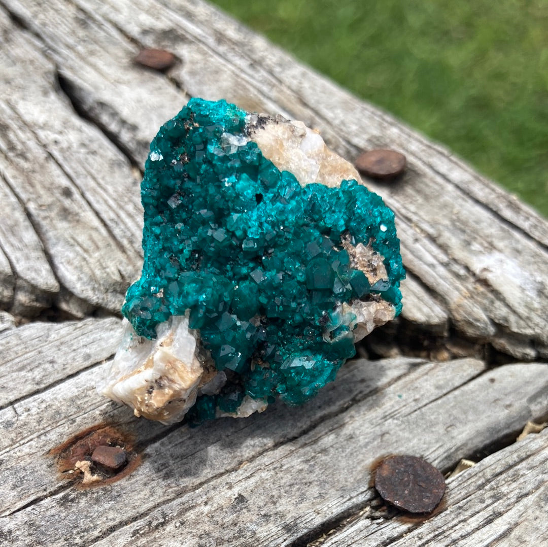 Gorgeous High Grade Dioptase 13