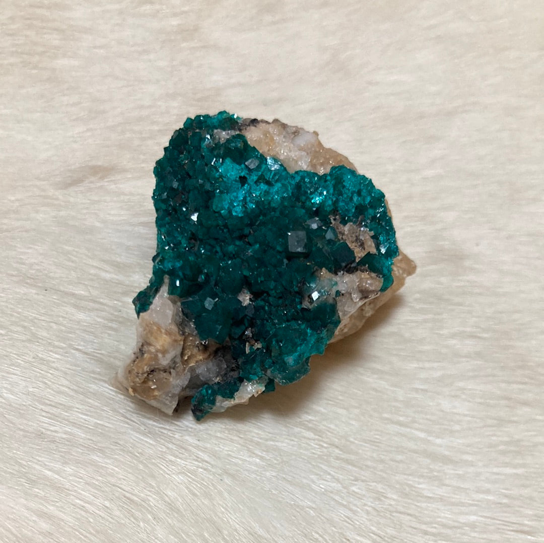 Gorgeous High Grade Dioptase 13