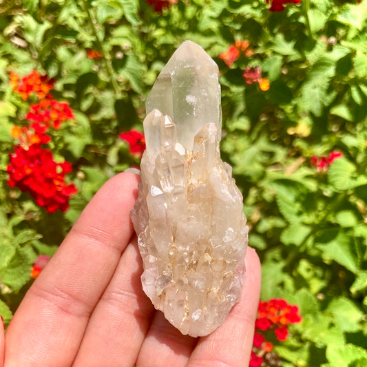 Real All Natural Citrine 23