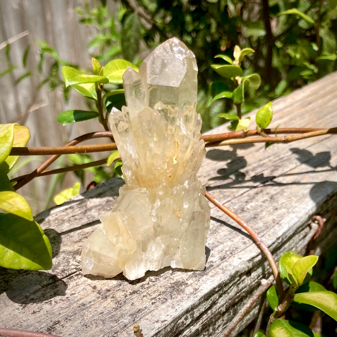 Real All Natural Gorgeous Citrine 31