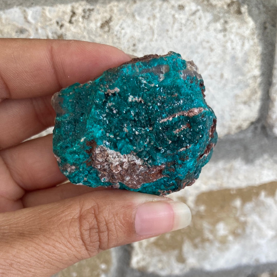 Gorgeous High Grade Dioptase 10