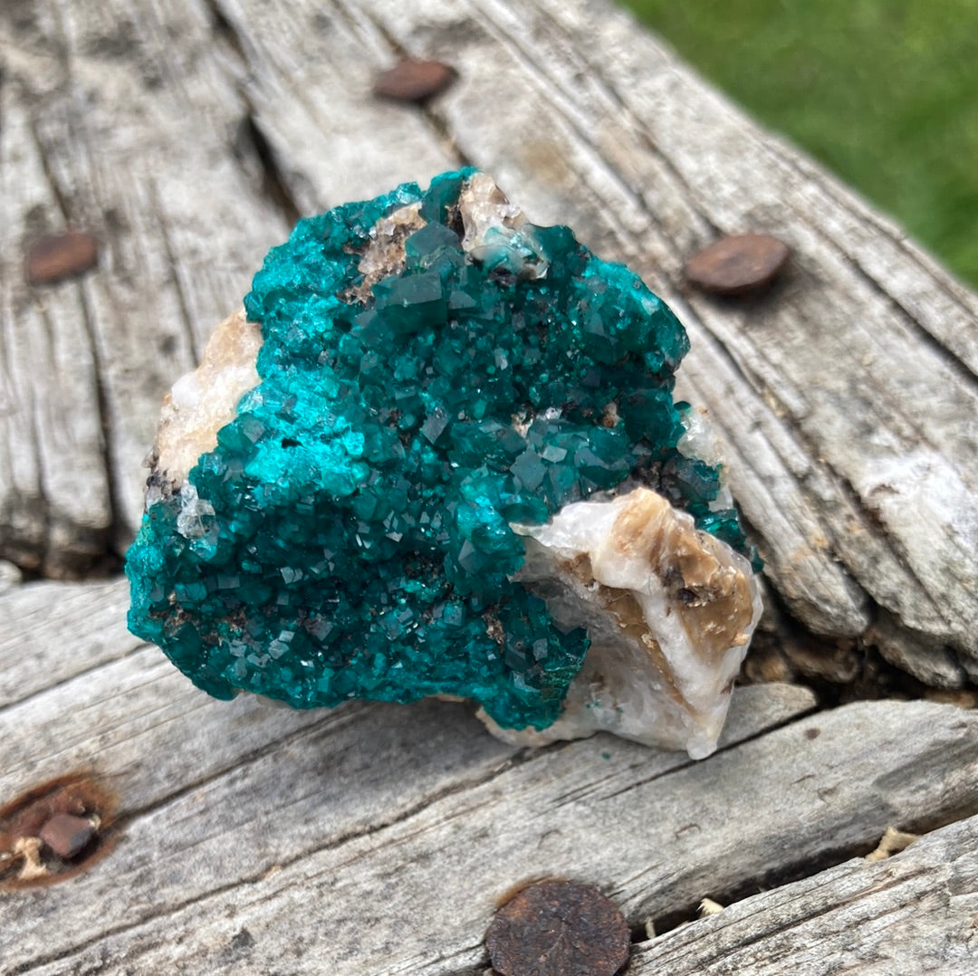 Gorgeous High Grade Dioptase 13