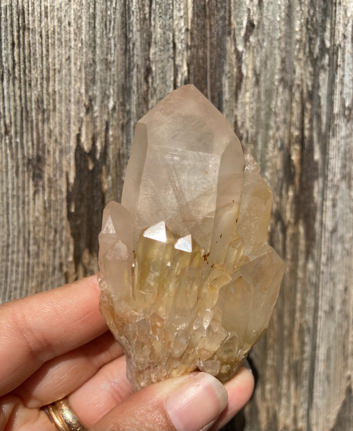 High Grade Gorgeous Real All Natural Citrine 5